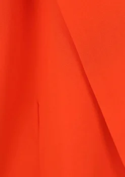 DAMES ALIX THE LABEL BLAZER