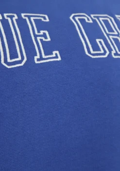 DAMES ANNA BLUE SWEATER