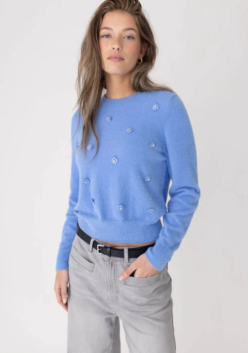 DAMES ANNA BLUE TRUI