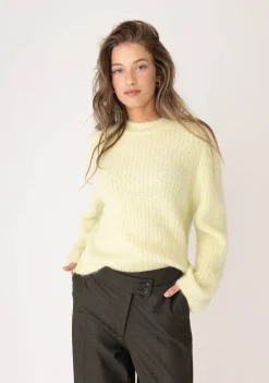 DAMES ANNA BLUE TRUI