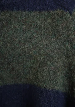 DAMES ANNA BLUE TRUI