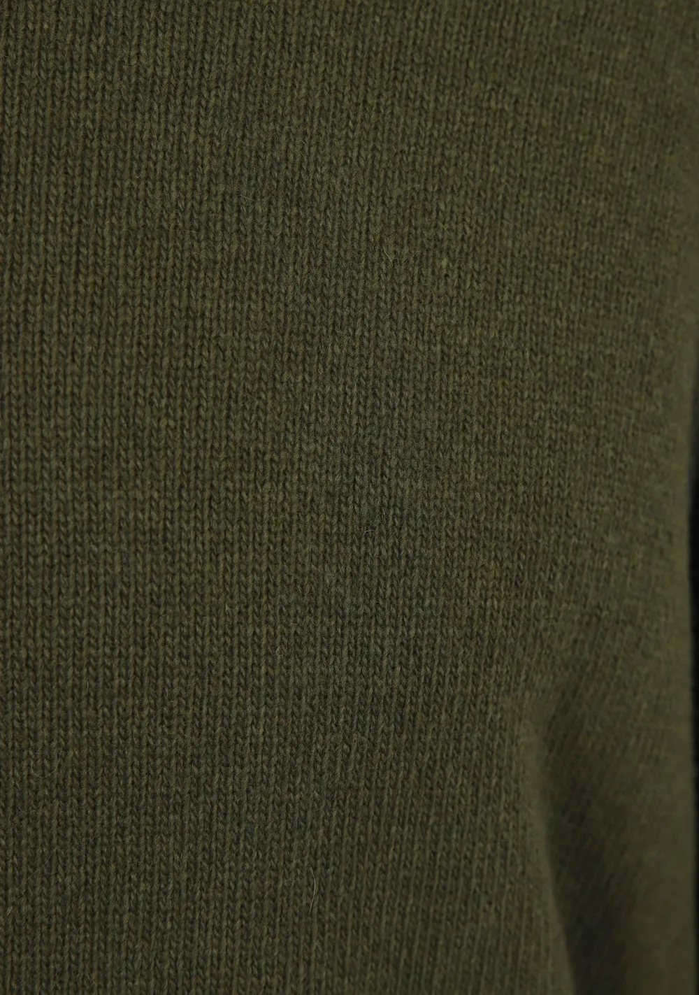 Heren C.P. COMPANY TRUI