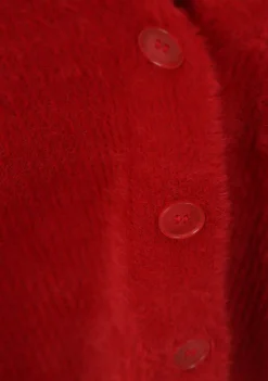 DAMES FRANK WALDER VEST