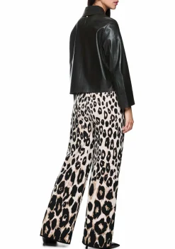 DAMES MARC CAIN JASJE