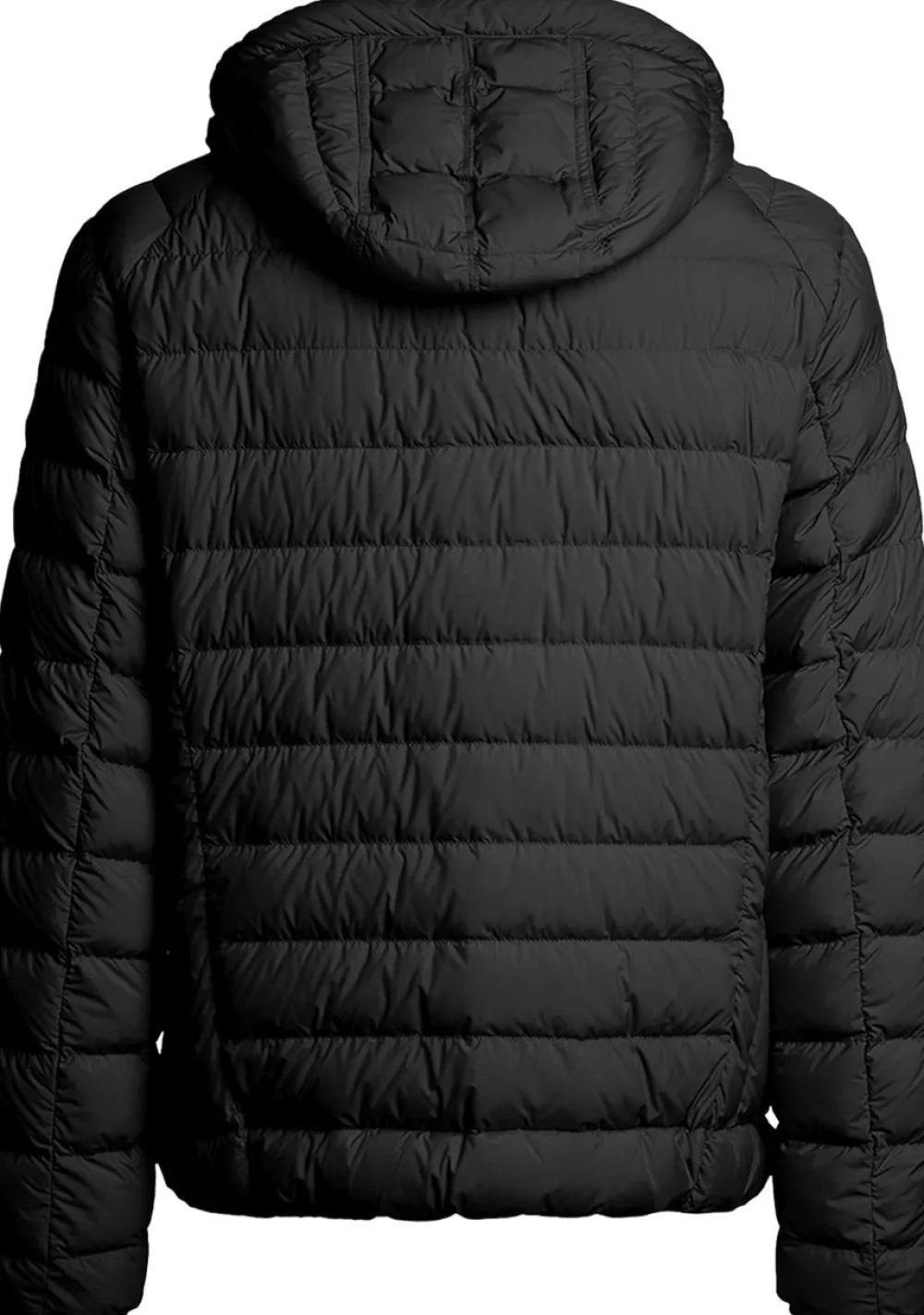 Heren PARAJUMPERS JAS