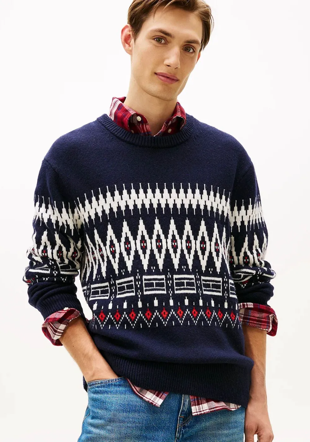 Heren TOMMY HILFIGER TRUI