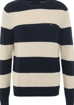 Heren TOMMY HILFIGER TRUI