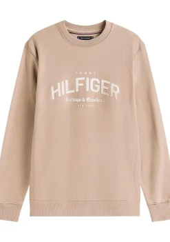 Heren TOMMY HILFIGER TRUI