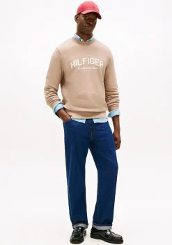 Heren TOMMY HILFIGER TRUI